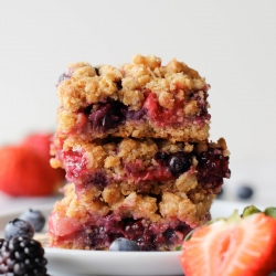 Berry Medley Oatmeal Crumb Bars