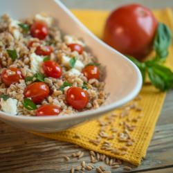 Farro Caprese Salad