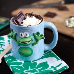 Mint Chocolate Chip Mug Cake