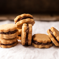 PB & Chocolate Sandwich Cookies