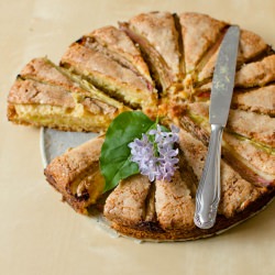 Rhubarb Custard Cake