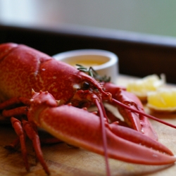 Steamed Lobster with Garlic Butter