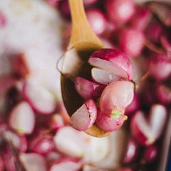 Mekice with Roasted Radish