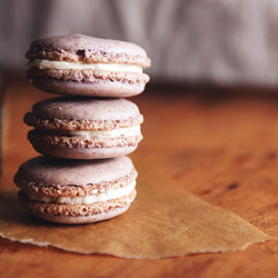 Lavender Macarons