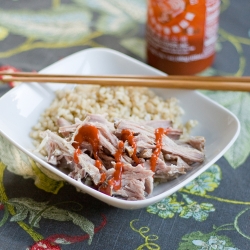 Crock Pot Kalua Pork