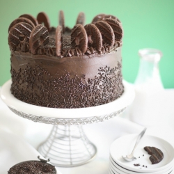 Chocolate Therapy Cake