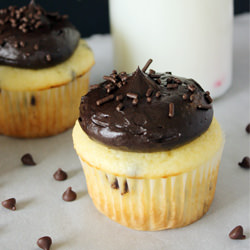 Vanilla Mint Chip Cupcakes