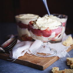 Strawberry Rhubarb Tiramisu