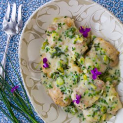 Chicken with Cheddar Chive Sauce