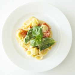 Creamy Tomato Orecchiette