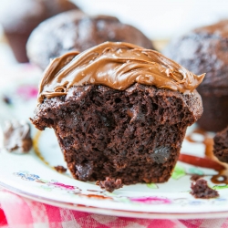 Chocolate Chocolate-Chip Muffins