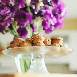 Chocolate Chip Pumpkin Muffins