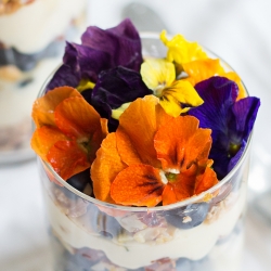 Edible Flowers with Granola Yogurt