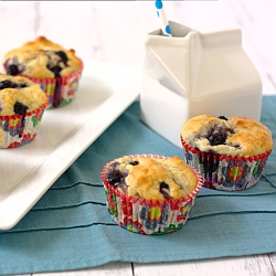 Blueberry Yogurt Muffins