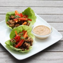 Turkey Lettuce Wraps