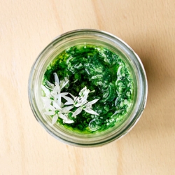 Wild Garlic Pesto