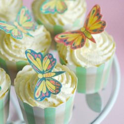 Raspberry & Cream Butterfly Cupcake