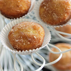 Cinnamon Sugar Mini Doughnut Holes