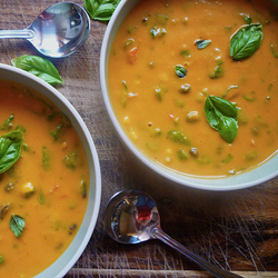 Spicy Butternut and Black Bean Soup