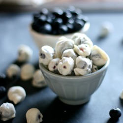 Yogurt Covered Blueberries