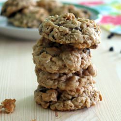 Vegan Oatmeal Chocolate Chip Cookie