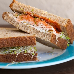 Turkey Alfalfa Healthy Sandwich