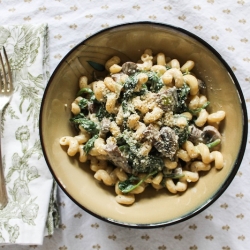 Cavatappi with Creamy Chevre Sauce