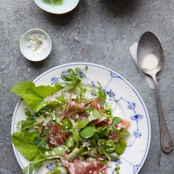 Salad of Broad Beans and Prosciutto