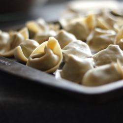 Pork, Red Cabbage & Carrot Wontons