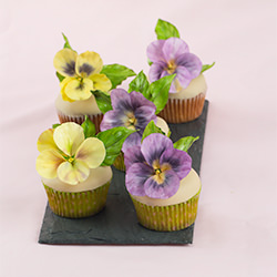 How to Create Sugar Paste Pansy