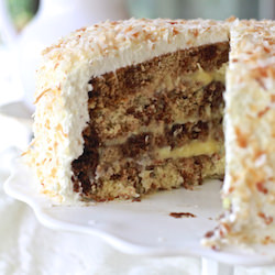 Chocolate Coconut Cream Cake