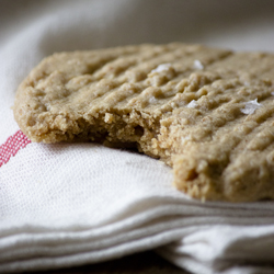 Soft and Squishy Peanut Butter Cookies