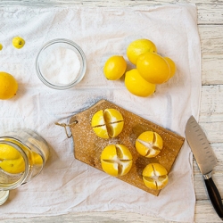 Preserving Lemons