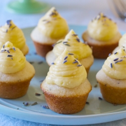 Mini Cupcakes with Lemon & Lavender