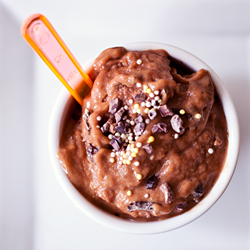 Vegan Chocolate Pumpkin Ice Cream