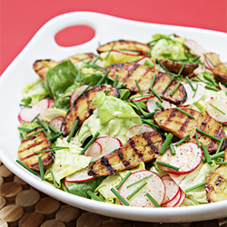 Boston Lettuce and Radish Salad