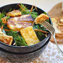 Fried Halloumi Cheese