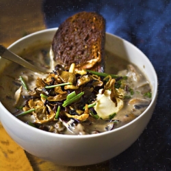 Mushroom Soup