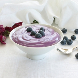 Vegan Blueberry Fruit Dip