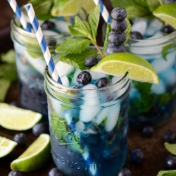 Blueberry Mojito