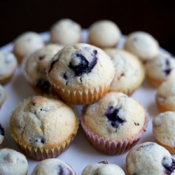 Cranberry Blueberry Muffins