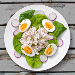 Smoked Chicken and Radish Salad