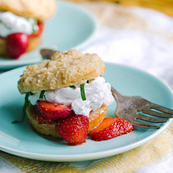 Strawberry Vanilla Shortcakes