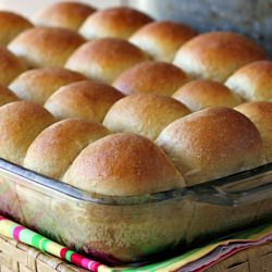 Soft 100% Whole Wheat Rolls