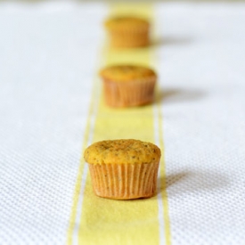 Paleo Lemon Poppyseed Muffins