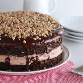 Chocolate Mousse Crunch Cake