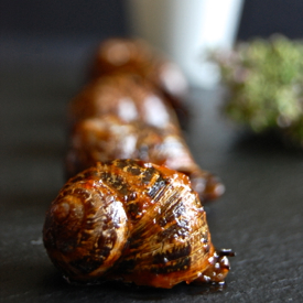 Spicy Snails with herbs