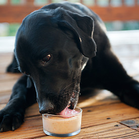 Banana Peanut Butter Pupsicles