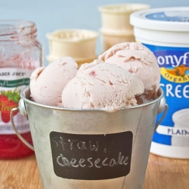 Strawberry Cheesecake Frozen Yogurt