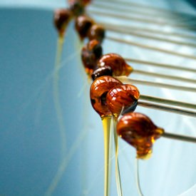 Caramelized Hazelnuts